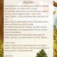 KDYŽ STROMY VYPRÁVÍ POHÁDKY… 🍂📖 2