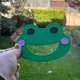 Mlsoun žába 2