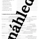 Present Simple - grammar drill 2