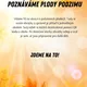 POZNÁVÁME PLODY PODZIMU - plotovka pro MŠ 2