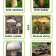 Houby hravě 🍄‍🟫🍄 3