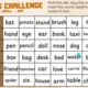 SPELLING CHALLENGE – 6 aktivit + 96 kartiček ve 4 úrovních | AJ | 3.–5. třída 3