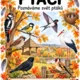 PTÁCI - poznáváme svět ptáků 4