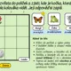 Online hra - Zvířecí (sudoku) detektivka 2