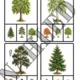 🌳 STROMY A LES | Tematický vzdělávací materiál pro děti od 2 do 6 let 🌲 5