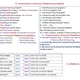English Tenses with Love 4