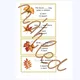Autumn - present simple 5