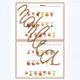 Autumn - present simple 11