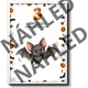 Halloweenská stezka – Šikovný halloweenský dobrodruh 3