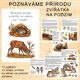 POZNÁVÁME PŘÍRODU - ZVÍŘÁTKA NA PODZIM PRO 1. STUPEŇ ZŠ 2