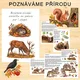 POZNÁVÁME PŘÍRODU - ZVÍŘÁTKA NA PODZIM PRO 1. STUPEŇ ZŠ 3