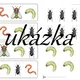 Ježek - přiřazování obrázků 4