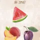 🍎🍂 CESTA PODZIMNÍ SKLIZNĚ – ZÁBAVNÁ STEZKA PRO MŠ 🎃🥕 2