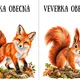 Pohybový chodníček - Lesní zvířata 4