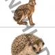 🦊 Zvířátka z lesa - velký soubor aktivit🌲 3