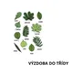 Listnaté stromy a listy - omalovánky, šablony, výzdoba, spojovačky (autorské ilustrace) 3