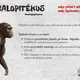 VÝVOJ ČLOVĚKA (online úniková hra + pracovní list) 10
