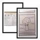 Houby Lapbook 3