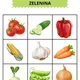 BINGO - ZELENINA 3