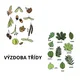 Listnaté stromy/listy a plody - omalovánky, výzdoba, pexesa, spojovačky (autorské ilustrace) 3