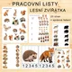 PRACOVNÍ LISTY - LESNÍ ZVÍŘÁTKA 3