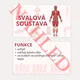 Svalová soustava 3