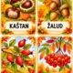Barevný podzim 4