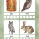 🍂 LESNÍ KAMARÁDI – Jak se zvířata chystají na zimu 🦔 2