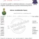 Halloween ve světě kouzelníků 2