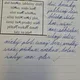 Párové souhlásky - doplňovací cvičení 2
