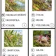 Obojživelníci pro 1. - 3.třídu 5