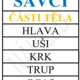 Savci pro 1. - 3.třídu 4
