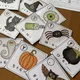 HALLOWEEN - BĚHAČKA S TAJENKOU (+ - do 20 s přechodem) 4