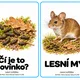 Podzimní detektivové – Čí je to hovínko? 2
