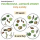 Postřehovka - Listnaté stromy (plody a listy) 4