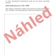 28. ŘÍJEN - DEN VZNIKU SAMOSTATNÉHO ČESKOSLOVENSKÉHO STÁTU - VÝTVARNĚ HISTORICKÉ PRACOVNÍ LISTY PRO 2. STUPEŇ ZŠ 7