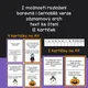 HALLOWEEN, DUŠIČKY - BĚHAČKA S TAJENKOU 3