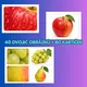 Ovoce a zelenina – Část a celek | Logická hra na přiřazování 2