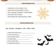 Čtení s porozuměním - HALLOWEEN 3