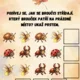 Uspávání broučků - podzimní stezka 2