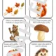 PODZIM 🍂🦔 2