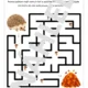 PODZIM 🍂🦔 3