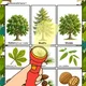 DEN STROMŮ - prosvětlovací loto 3