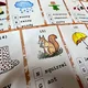 Autumn picture quiz - obrázkový kvíz podzim 2