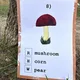 Autumn picture quiz - obrázkový kvíz podzim 5