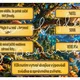 Poslední vzpomínka stromu - online úniková hra do PRV, PŘ (Den stromů, Den Země) 6