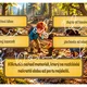 Poslední vzpomínka stromu - online úniková hra do PRV, PŘ (Den stromů, Den Země) 8
