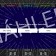 Present Simple & Present Continuous Game Show 5