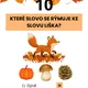 PODZIMNÍ PLOTOVKA 3
