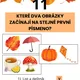 PODZIMNÍ PLOTOVKA 4